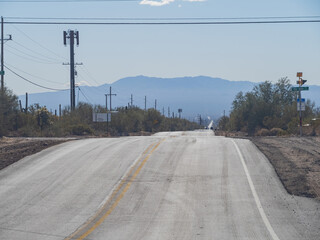 Sunny view of the Saguaro National Park