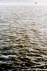 フィリピンの網漁
