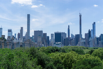 Fototapeta na wymiar Manhattan over little forest