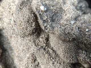 Marine Material