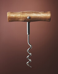 Corkscrew for wine bottle.