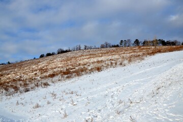 Hillside with vegetation under a layer of snow