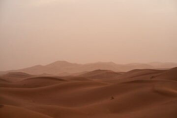 Sahara desert landscape picture. - obrazy, fototapety, plakaty