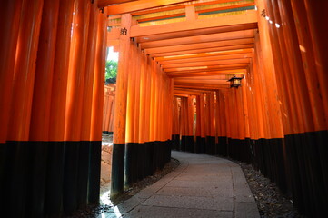 Fushimi Inari shrine in kyoto
