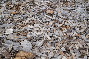 Wood chips mulch