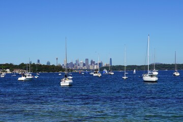 Sydney Harbour and Skyline View on a Sunny Spring Day