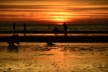 Fototapeta premium Beautiful golden yellow sky and sun The view of the beach, the beach and the sun loungers are rising. Beautiful golden yellow sky and sun 