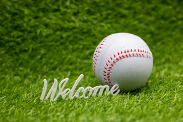 Baseball is on green grass background
