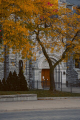 Doors of an old building with a colorful tree in front of it during the fall season