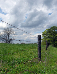 Fototapeta premium Barbed wire fence in portrait format