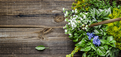 Assorted garden fresh herbs on wooden background
