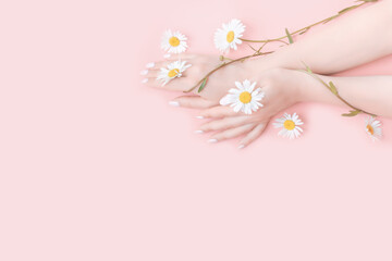 Young woman moisturizes her hand with cosmetic cream. chamomile flowers on pink background. Flat lay top view Beauty concept