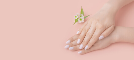 Obraz na płótnie Canvas Close-up beautiful female hands with flowers on pink background. Concept hand care, anti-wrinkles, anti-aging cream, spa. copy space