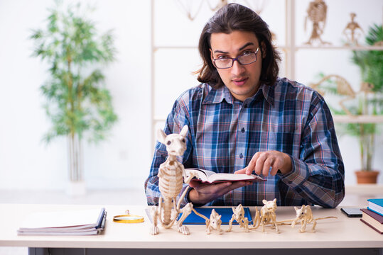 Young Male Teacher Paleontologist In The Classroom