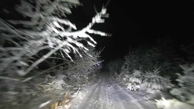 POV driving through the night snowy forest in winter. Beautiful landscape of winter forest at night in the light of car headlights. Winter travel