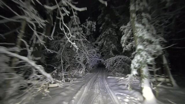 POV driving through the night snowy forest in winter. Beautiful landscape of winter forest at night in the light of car headlights. Winter travel