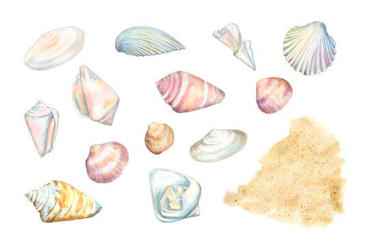 Watercolor set seashells and a sandy beach in pastel soft colors isolated on a white background. Shells. Beige blurred background. Hand-drawn illustration