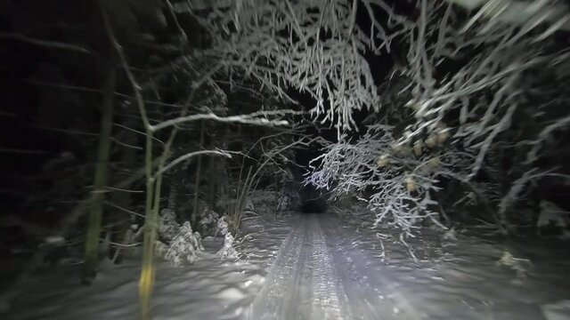 POV driving through the night snowy forest in winter. Beautiful landscape of winter forest at night in the light of car headlights. Winter travel