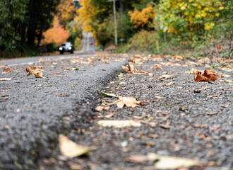 Winding road with fallen leaves, colorful trees, and car approaching.