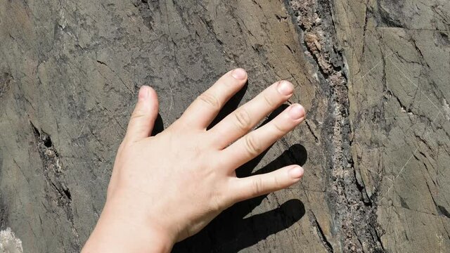 Petroglyph deer carved in stone. Human hand runs over the stone