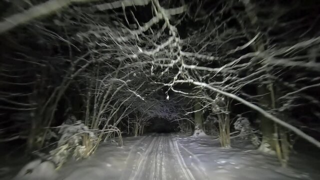 POV driving through the night snowy forest in winter. Beautiful landscape of winter forest at night in the light of car headlights. Winter travel