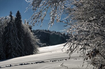 Zima w Beskidach, góry w śnieżnej scenerii