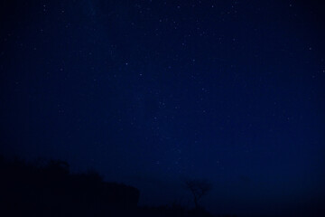 Fototapeta premium Southern hemisphere night sky photographed with long exposure.