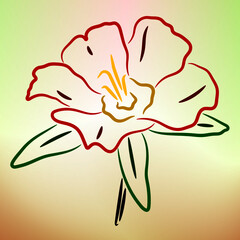 flower line art illustration