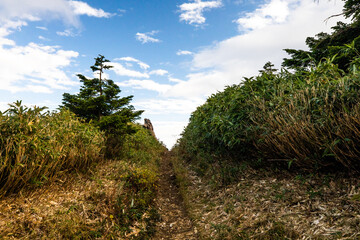 Fototapeta premium 登山道