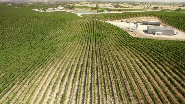 California Winery Vineyard in Paso Robles Aerial Shot of Wine Country Left