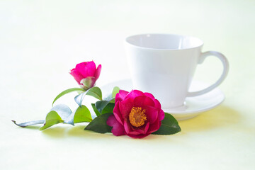 Obraz na płótnie Canvas 美しい山茶花とコーヒー