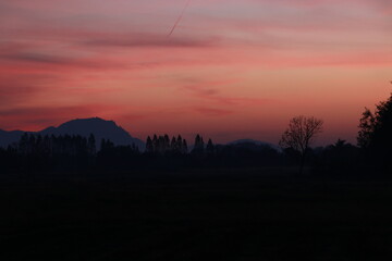 Beautiful light and silhouette in the morning