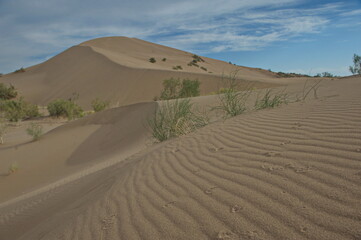 Fototapeta na wymiar Almaty, Kazakhstan - 06.25.2013 : Singing dune-a mountain of sand in the Altyn Emel Nature Reserve