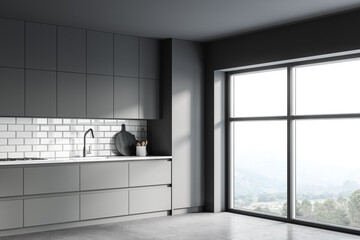 Fototapeta premium Gray kitchen corner with cupboards