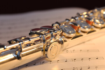 Symbol image: Transverse flute on music notebook
