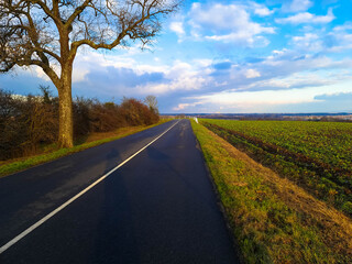 Panoramic landscape with road D468 between Lauterbourg and Neewiller in Alsace in the evening, Alsace France