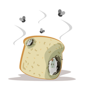 Fresh bread becomes rotten and bad vector isolated. Slice of a bread with mold on it. Food garbage, snak for breakfast. Flies flying around the product.