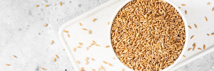 Spelt wheat in a ceramic bowl on the light gray kitchen table. Spelt cereal culture for a healthy diet