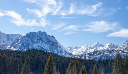 Winter landscape, mountain peaks and pine forest, Durmitor, Montenegro 