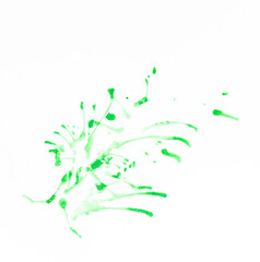 Green watercolor splashed onto white paper