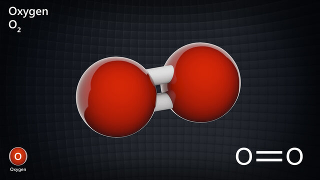 Oxygen is a chemical element with symbol O and atomic number 8. Chemical structure model: Ball and Stick. 3D illustration.
