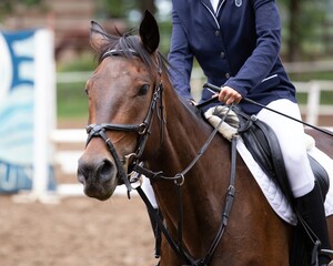 Riding on a horse at racing event.
