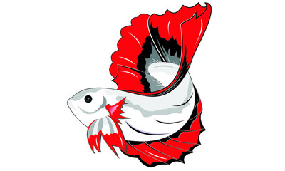 Betta Fish Ikan Cupang