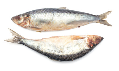 Two herring isolated on a white background.