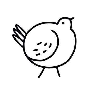 recommend clip art: Funny minimalistic bird line art