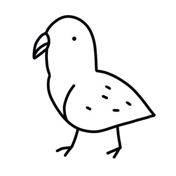 recommend clip art: Funny minimalistic parrot bird line art