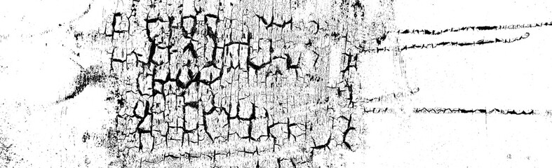 Abstract background. Monochrome texture. Image includes a effect the black and white tones.