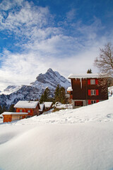 Winter in the alps