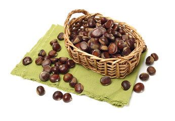 chestnut on a white background