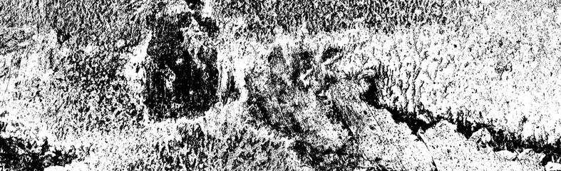 Obraz premium Abstract background. Monochrome texture. Image includes a effect the black and white tones.